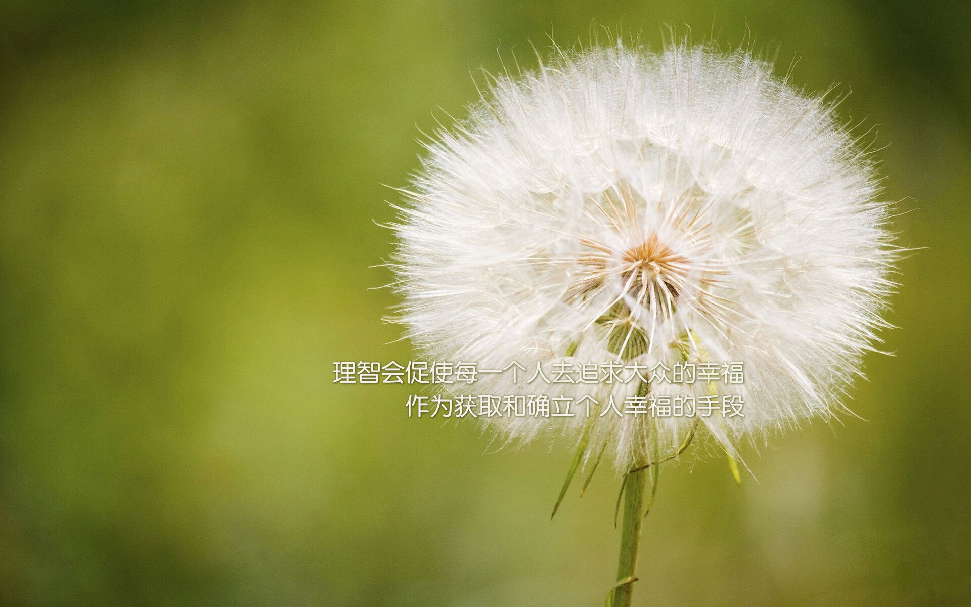 NBA首次开放裁判考核评分,提升透明度与信任度,nba裁判怎么考