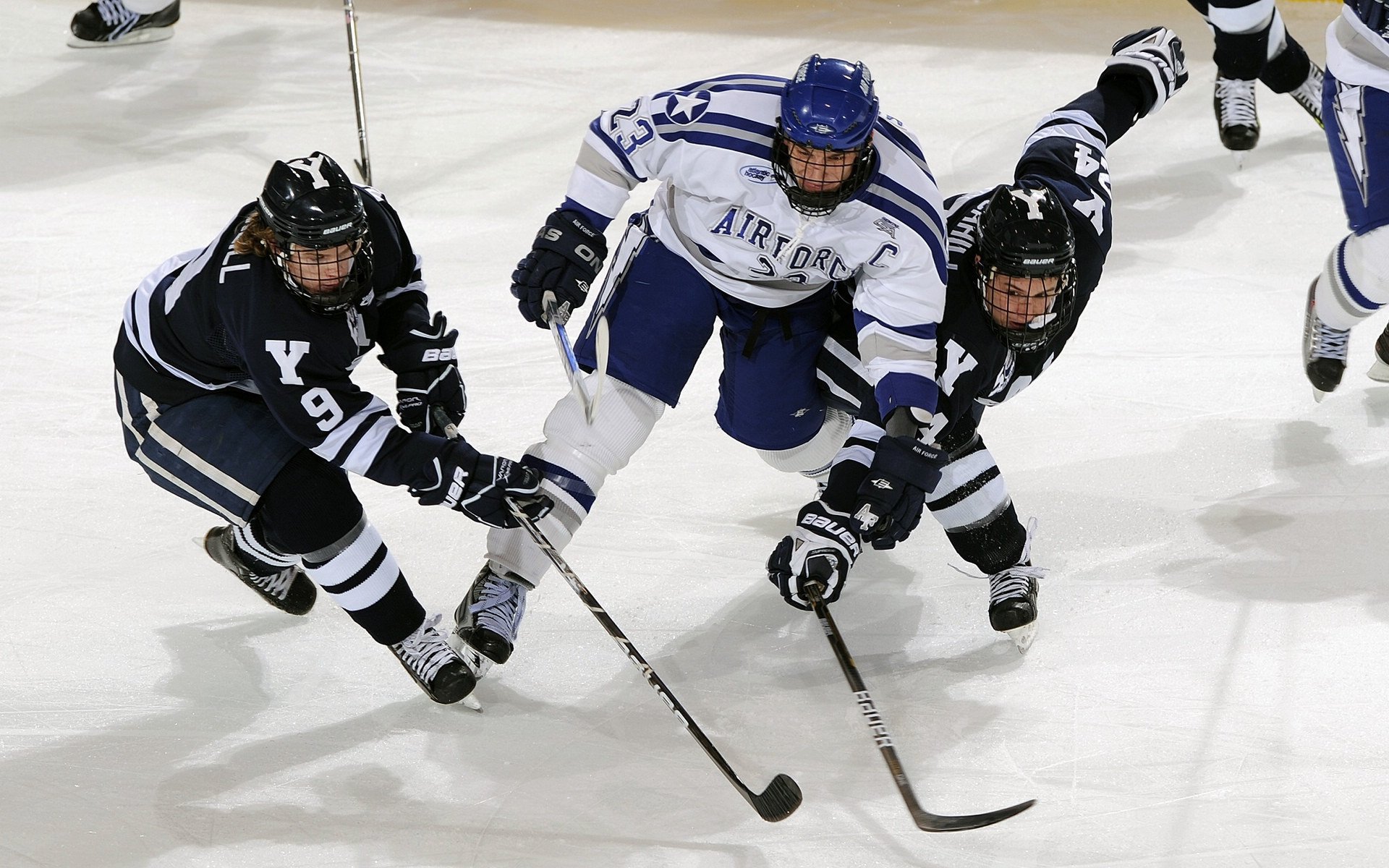 国家队科学训练体系不断完善推动竞技水平稳步提升，国家体育总局科学训练讲座