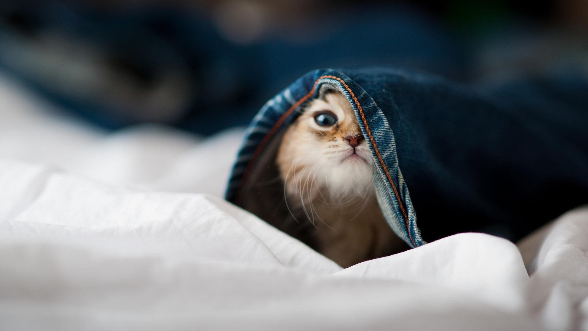 JIU YOU GAME-《CS_GO超级决战，现场气氛燃爆全场》，超哥csgo