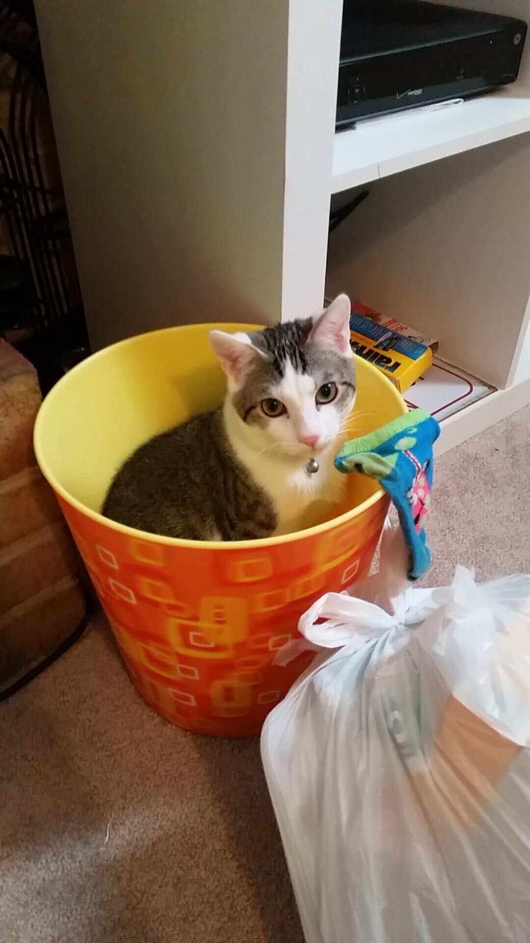 九游网页版官网-区块链交易：行业创新，确保每笔交易公开透明，区块链中的交易